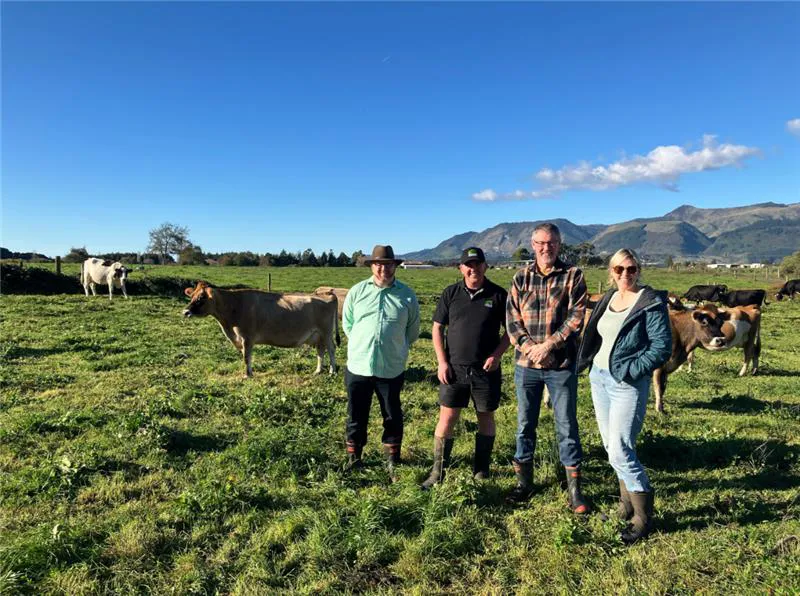 step 10 NZ CCC staff visiting South Island dairy farm