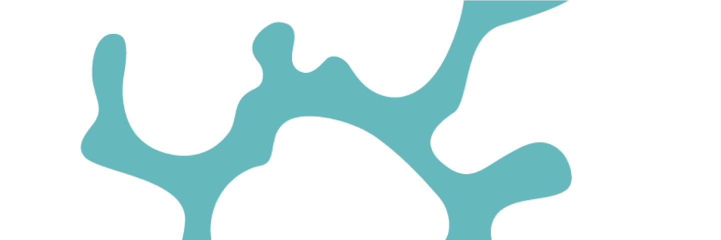 toolkit bg turquoise3