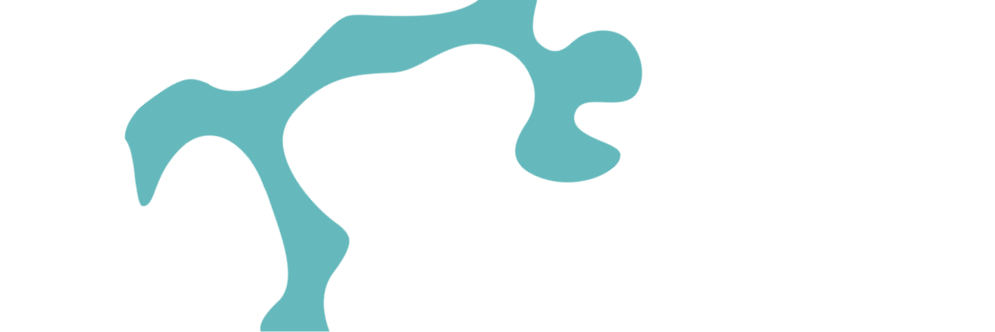 toolkit bg turquoise6