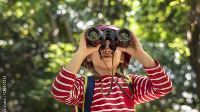 AdobeStock 210607261 Preview 1